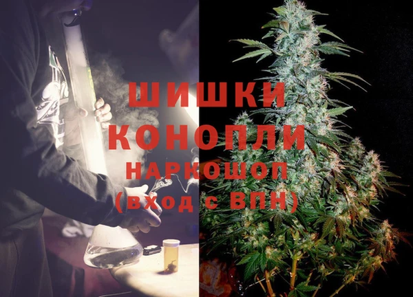 гашик Корсаков