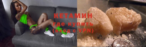 гашик Корсаков