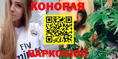 крисы Апшеронск