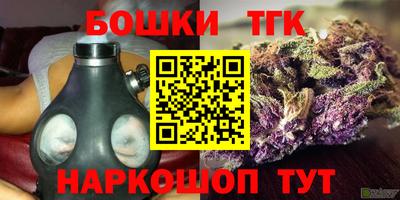 Альфа ПВП Дубна