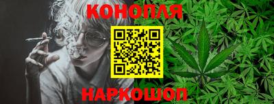 прущие крисы Аргун