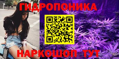 крисы Апшеронск