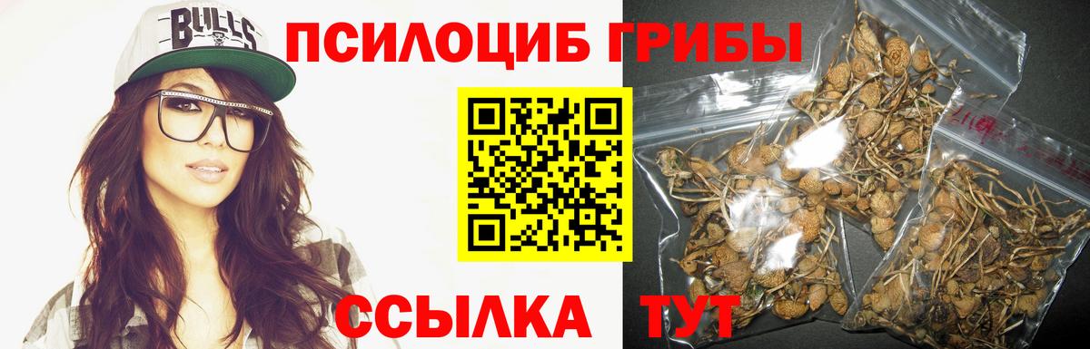 Галлюциногенные грибы Cubensis  Галлюциногенные грибы GOLDEN TEACHER  Вход с VPN  Малгобек 